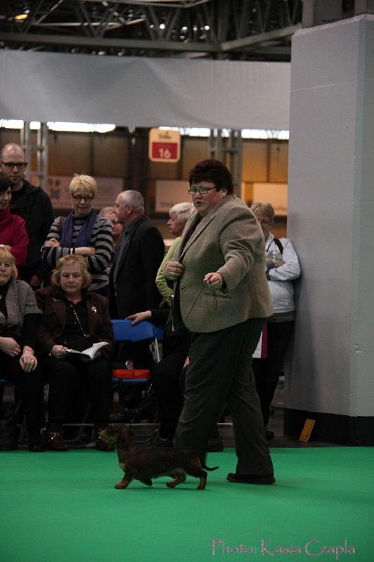 Crufts2011_2 1072.jpg